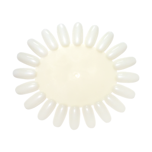 EXPOSITOR DE CORES OVAL 20 UNIDADES