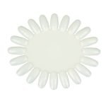 EXPOSITOR DE CORES OVAL 20 UNIDADES