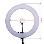 ANEL LED RING LIGHT
