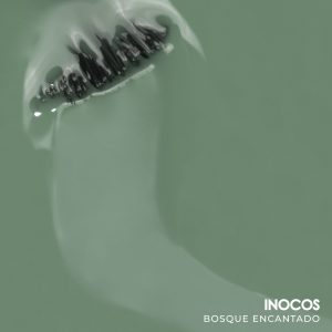 BOSQUE ENCANTADO VERNIZ GEL 15ML INOCOS