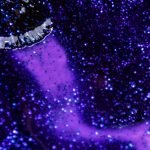 Dos Cisnes Verniz Gel 15ml Inocos - Image 3