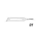 Goiva Descartável nº1 - 1 Unidade