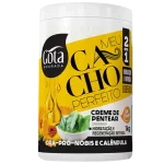 Creme de Pentear Meu Cacho Perfeito Condicionador 2 em 1 Ora-Pro-Nobis e Calêndula 1kg