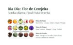 Banho Refrescante Flor de Cerejeira 300ml Dia Dia - Avatim - Image 3