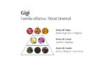 Deo Parfum Gigi 100ml - Avatim - Image 2