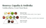 Kit Banho de Bem-Estar Copaíba e Andiroba - Avatim - Image 2